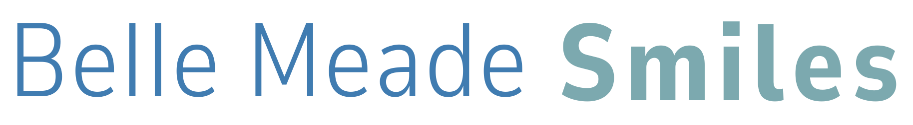 Horizontal Color Logo BMS Transp